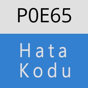 P0E65 hatasi