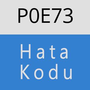 P0E73 hatasi