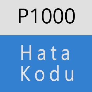 P1000 hatasi