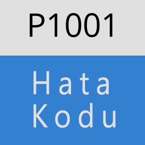 P1001 hatasi