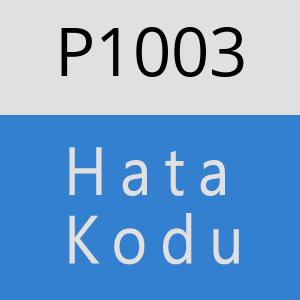 P1003 hatasi