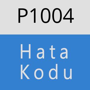 P1004 hatasi