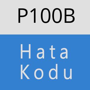 P100B hatasi
