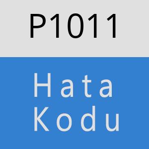 P1011 hatasi