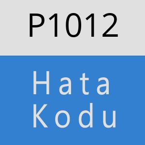 P1012 hatasi