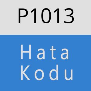 P1013 hatasi