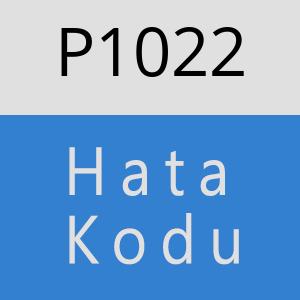 P1022 hatasi