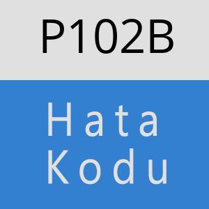 P102B hatasi