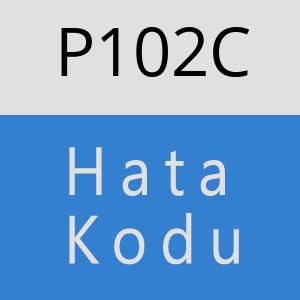 P102C hatasi