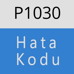 P1030 hatasi