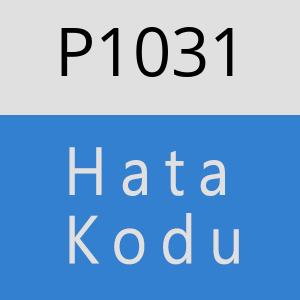 P1031 hatasi