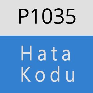 P1035 hatasi