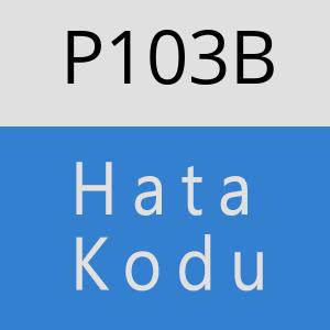 P103B hatasi