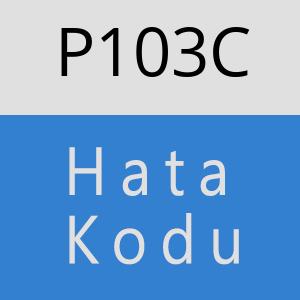 P103C hatasi