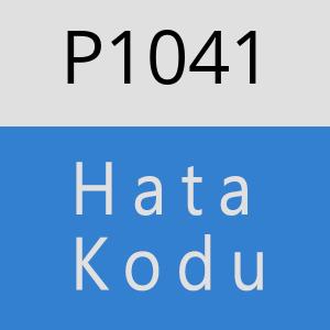 P1041 hatasi