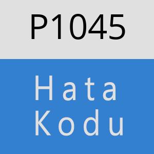 P1045 hatasi