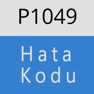 P1049 hatasi