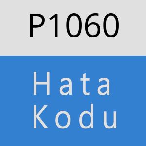 P1060 hatasi