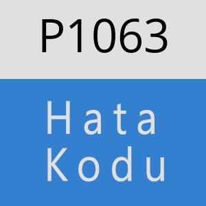 P1063 hatasi