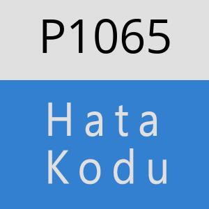 P1065 hatasi