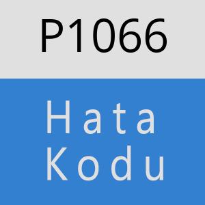 P1066 hatasi