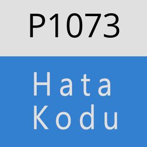 P1073 hatasi