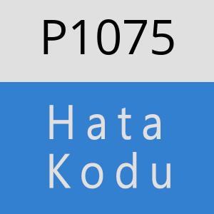 P1075 hatasi