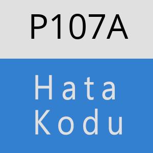 P107A hatasi