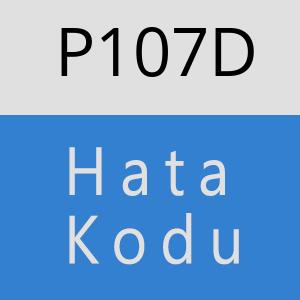 P107D hatasi