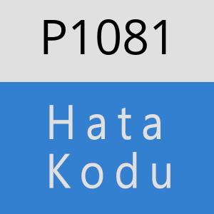 P1081 hatasi