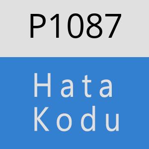 P1087 hatasi