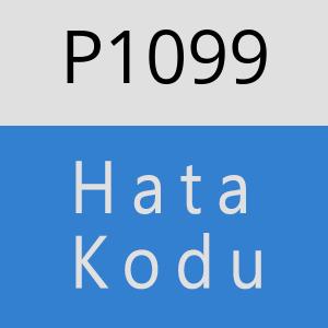 P1099 hatasi