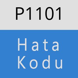 P1101 hatasi