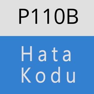 P110B hatasi