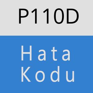 P110D hatasi