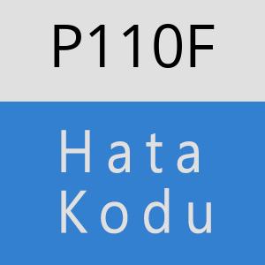 P110F hatasi