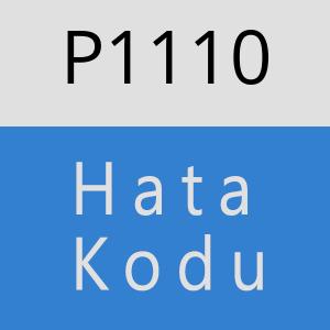 P1110 hatasi