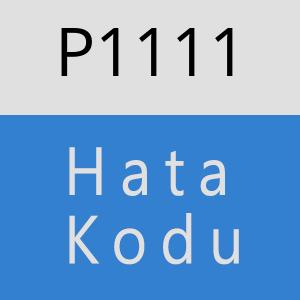 P1111 hatasi