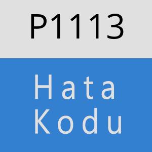 P1113 hatasi