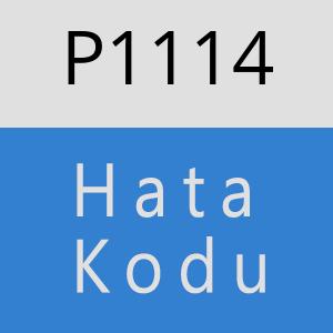 P1114 hatasi