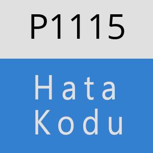 P1115 hatasi