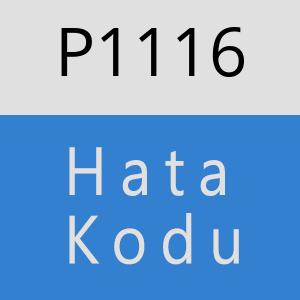 P1116 hatasi