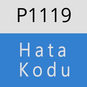 P1119 hatasi