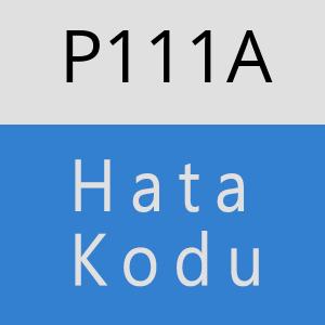 P111A hatasi