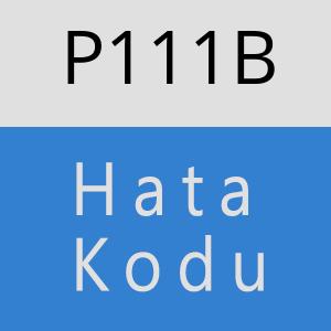 P111B hatasi