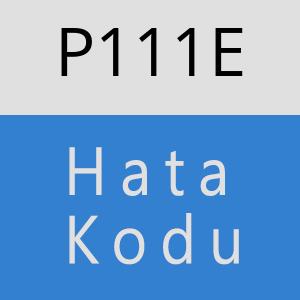 P111E hatasi