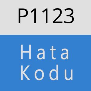 P1123 hatasi