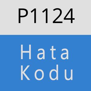 P1124 hatasi