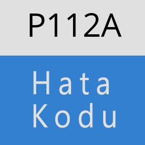 P112A hatasi