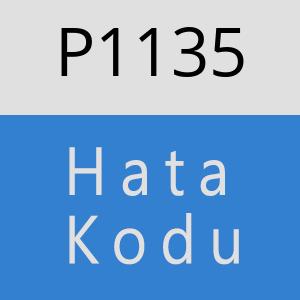 P1135 hatasi